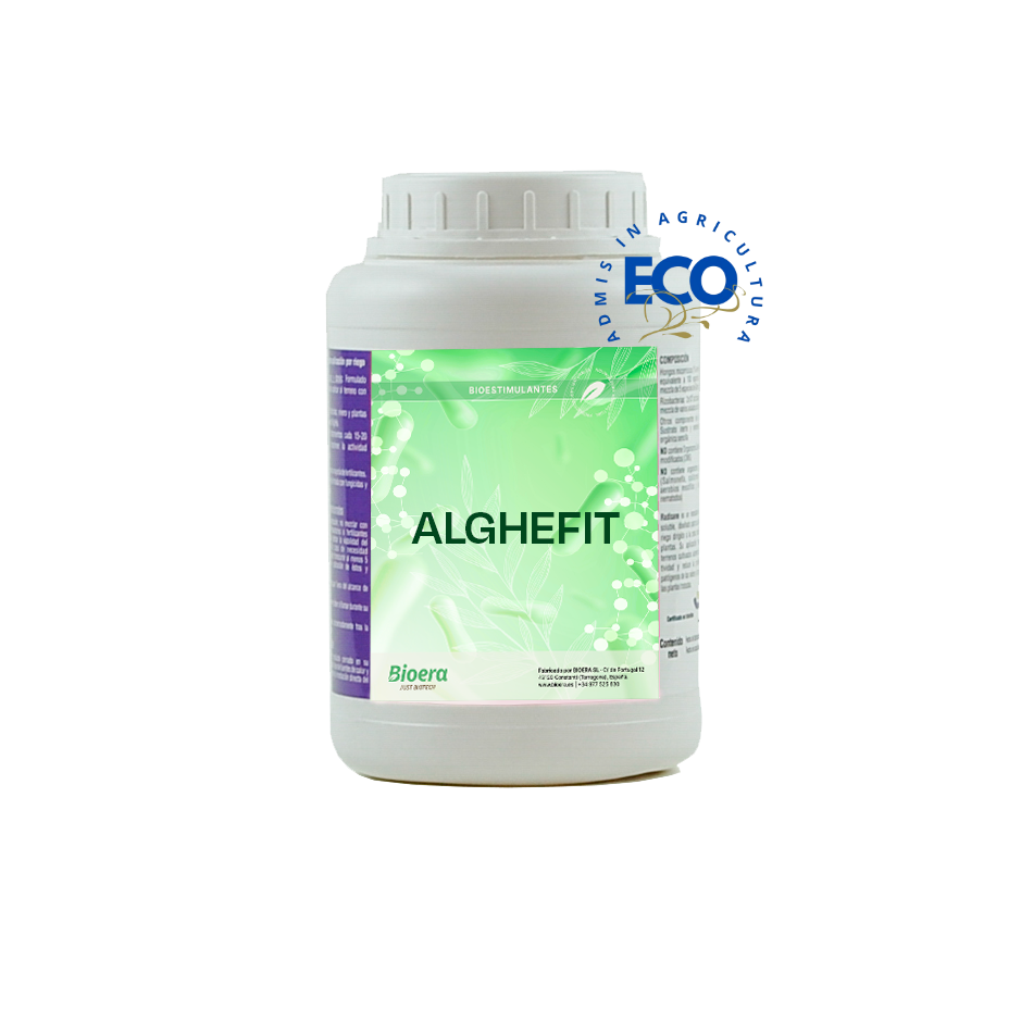 ALGHEFIT