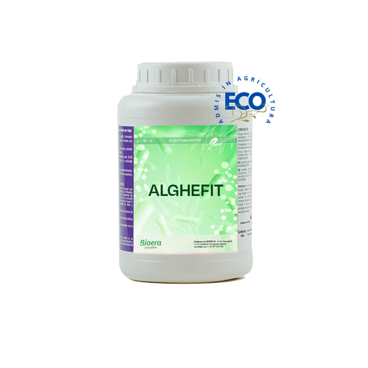 ALGHEFIT