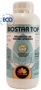 BIOSTAR TOP