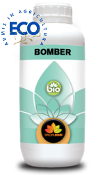 BOMBER