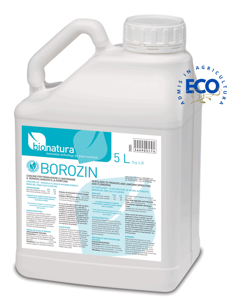 BOROZIN