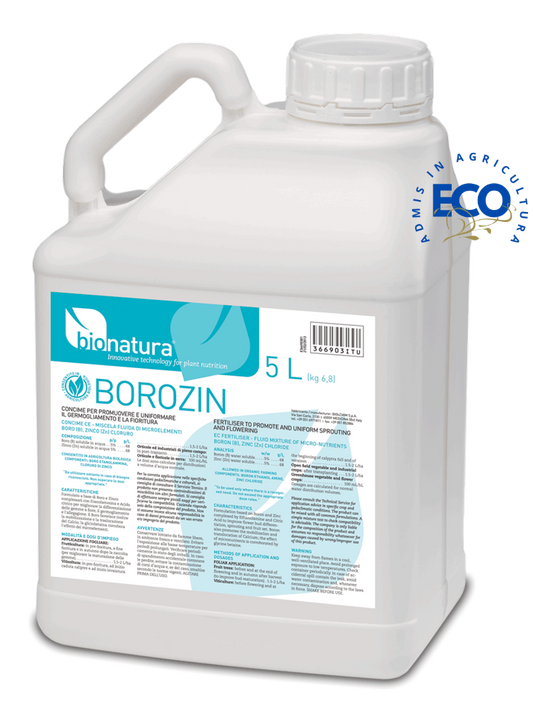 BOROZIN