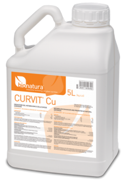 CURVIT PK