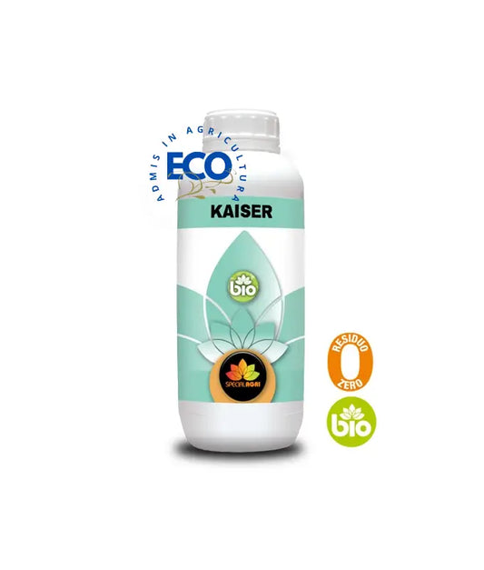 KAISER