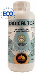 RADICAL TOP