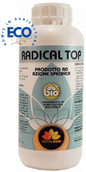 RADICAL TOP